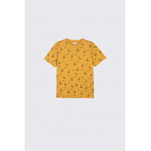 COCCODRILLO T-krekls EVERYDAY BOY, medus krāsa | KIDO.LV