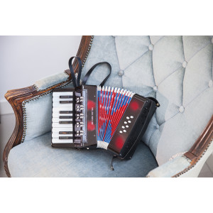 New classic Toys akordeons, 10057 | KIDO.LV