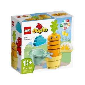 LEGO Duplo Augošais burkāns 10981 | KIDO.LV